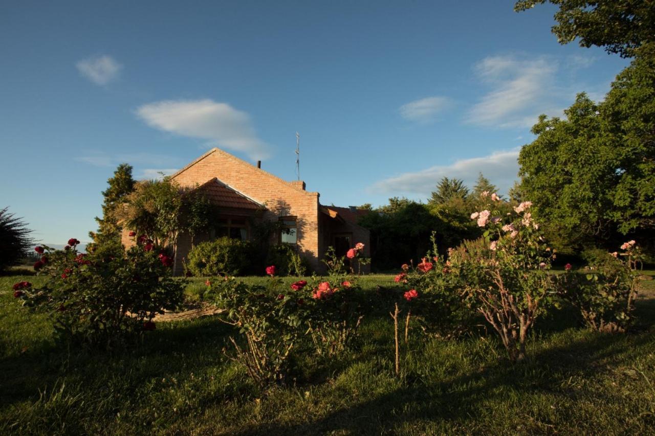 Posada Los Mimbres Gaiman Zewnętrze zdjęcie